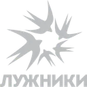 Спорткомплекс «Лужники»